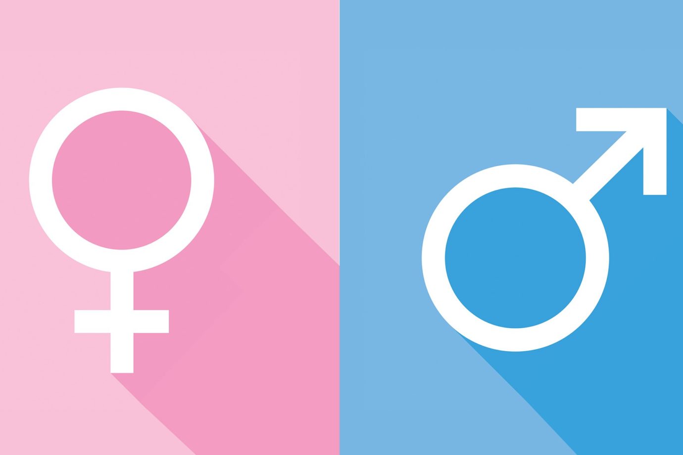 The flaw of “Gender Inequality”